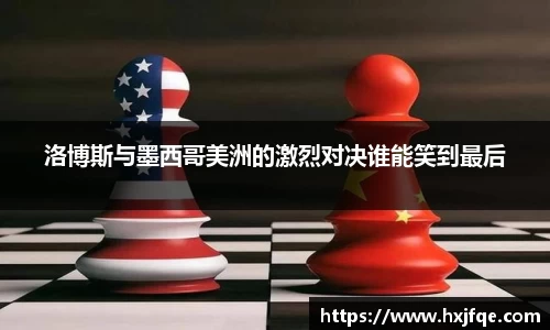 3377体育官网